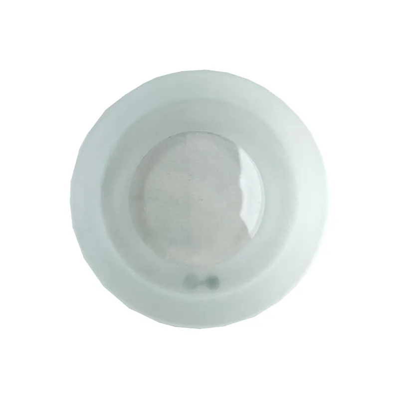 Kostenfreie Lieferung Glas für WETSY (teilsatiniert)