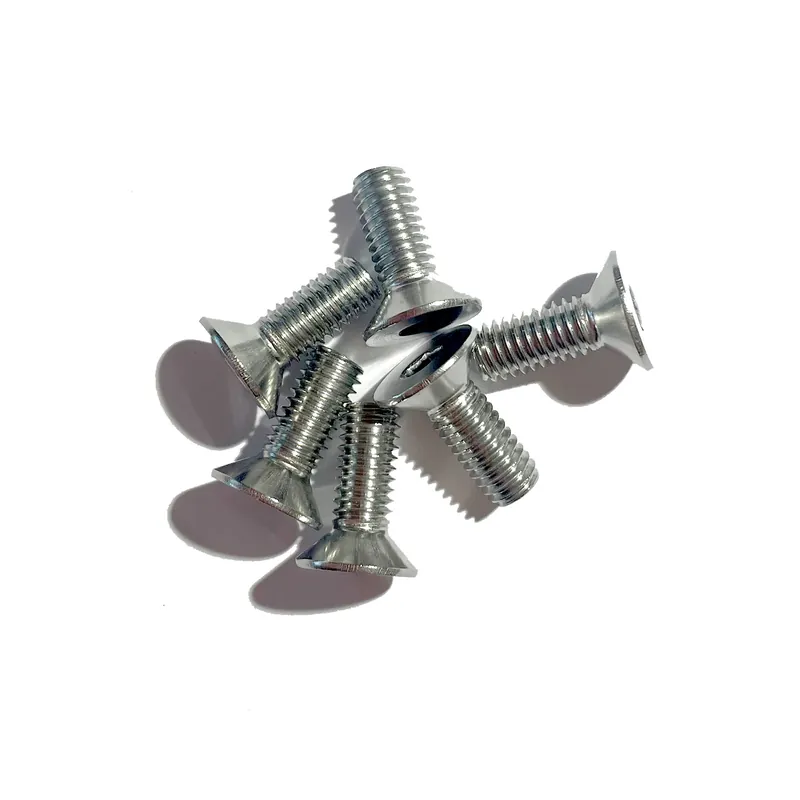 Saisonangebot Edelstahlschrauben (6 Stück) für Bodeneinbaustrahler M6 x 16mm (für Aluring)