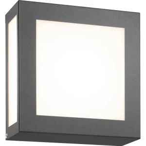 CMD Wandleuchte Aqua Legendo Mini aus Edelstahl, anthrazit pulverbeschichtet, mit eingesetztem Opalg Top-Preis