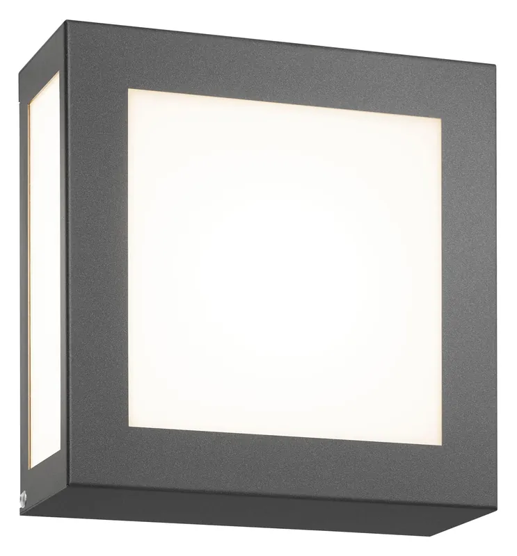 CMD Wandleuchte Aqua Legendo Mini aus Edelstahl, anthrazit pulverbeschichtet, mit eingesetztem Opalg Top-Preis