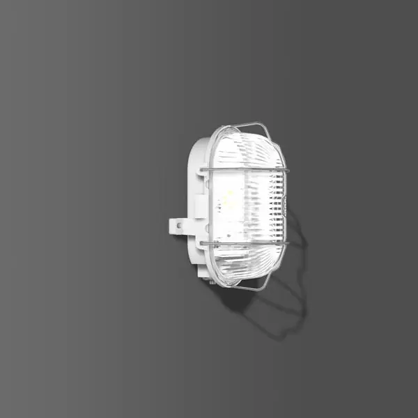 RZB LED-Ovalleuchte Iso 9,1W 4000K 176x122x110 IP44 grau Nur Heute