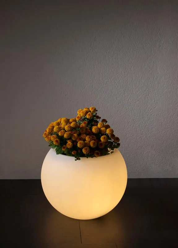 Kracherpreis Bodenbefestigung für Pflanzgefäß Flora