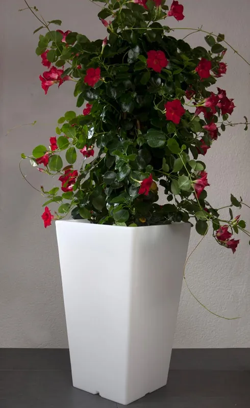 Beliebt Quadro 68 E27 Pflanztiefe 32cm Innenleuchte 2m Zul.