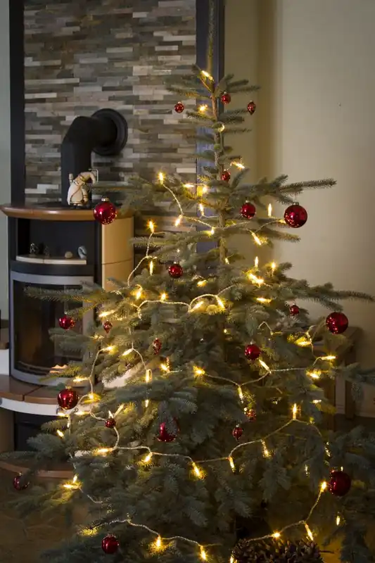 Schnäppchen LED Minilichterkette, "One String", 50 warm weiße Dioden, 230V, Innen, transparentes Kabel