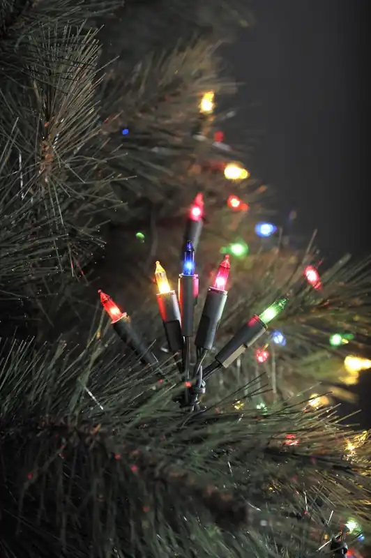 LED Minilichterkette, 20 bunte Dioden, 230V, Innen, grünes Kabel Saisonangebot