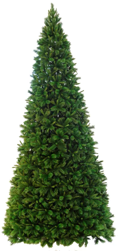 XXL-Weihnachtsbaum "Colorado" Meistverkauft