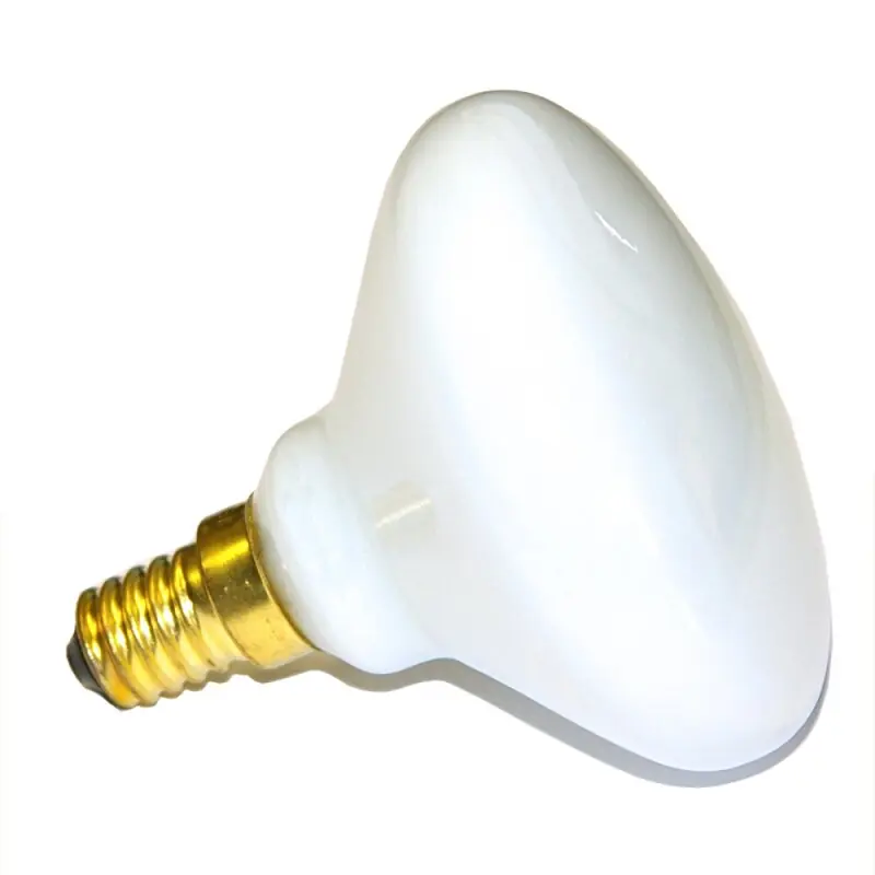 Highlight R70 Glühbirne 40W E14 Opal weiß Glühlampe Allegra 40 Watt warmweiß dimmbar