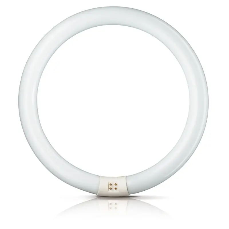 Knallerangebot Philips Master Leuchtstofflampe TL-E 22W 865 Circular Super 80 G10q