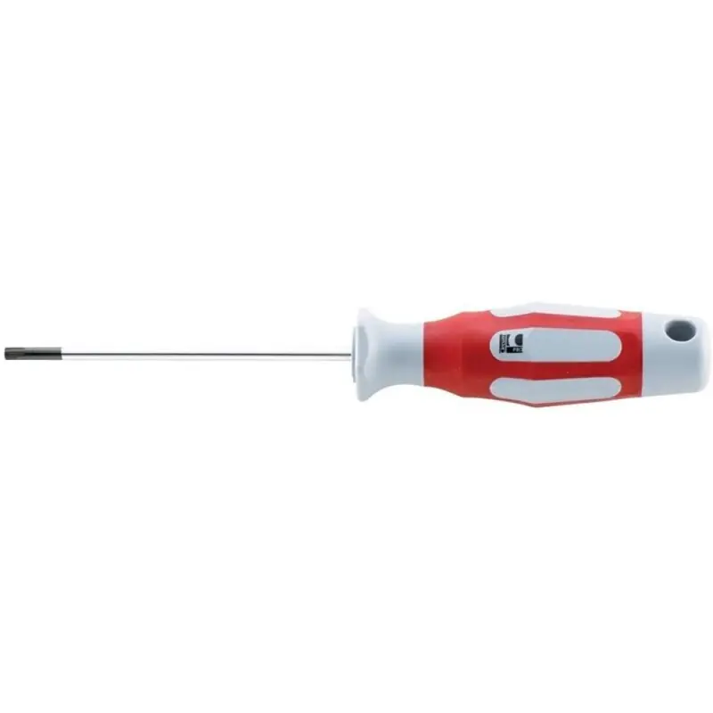 Echt CircumPro Schraubendreher Torx T25x100mm