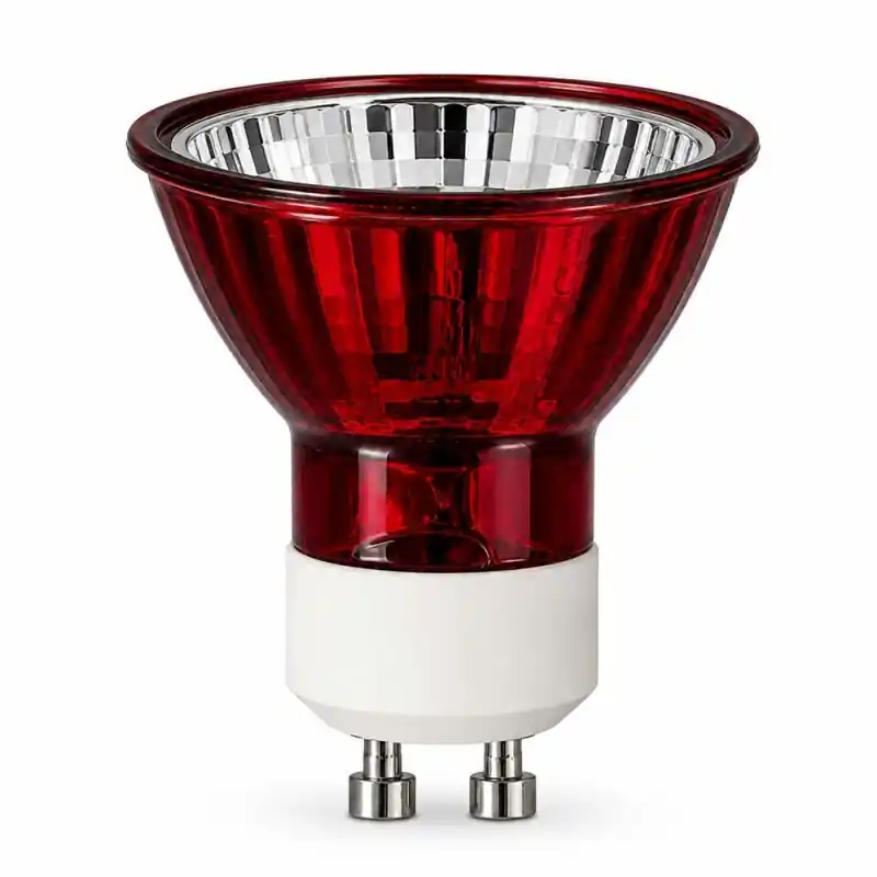 Paulmann Halogen Reflektor 35W GU10 / GZ10 230lm klar warmweiß 38° Dimmbar UV-Stop rotes Glas Preiswert
