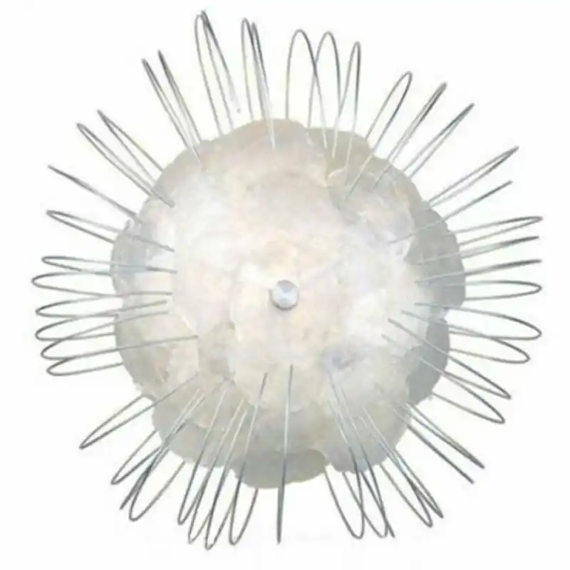 Eglo Wandleuchte Deckenlampe Edi Light Silber Kalkmuschel Ø35cm max. 60W E27 Neue Ware