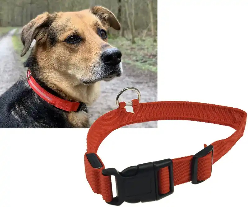 Preis Gesenkt Hunde-Halsband leuchtend mit LED 28-35cm, Größe S, rot