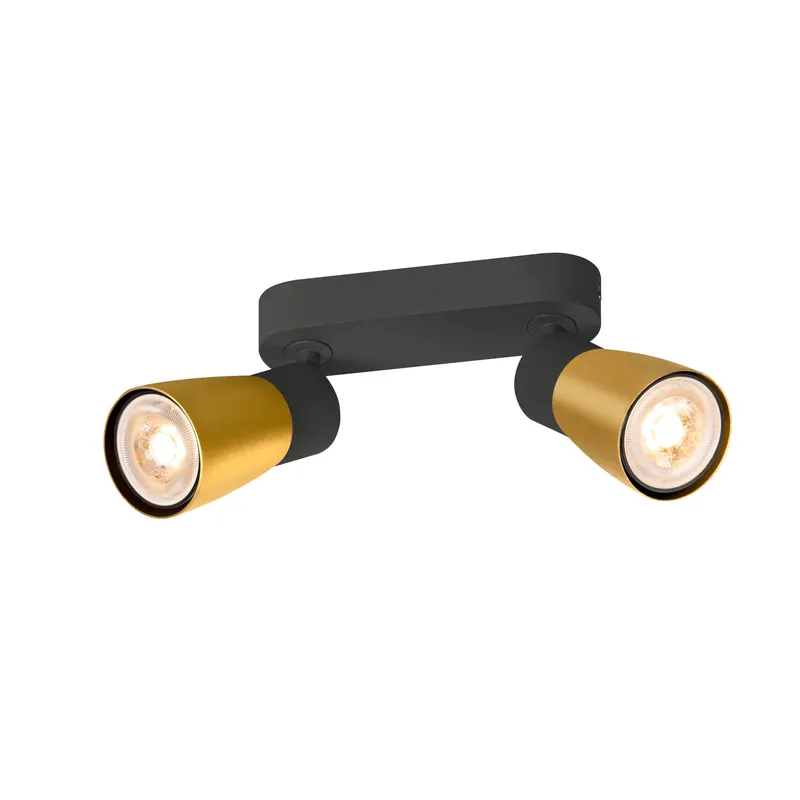 Preisreduziert PURI 2.0 Dome, Wand- und Deckenaufbauleuchte, long, 2 x max. 6 W GU10, schwarz / gold