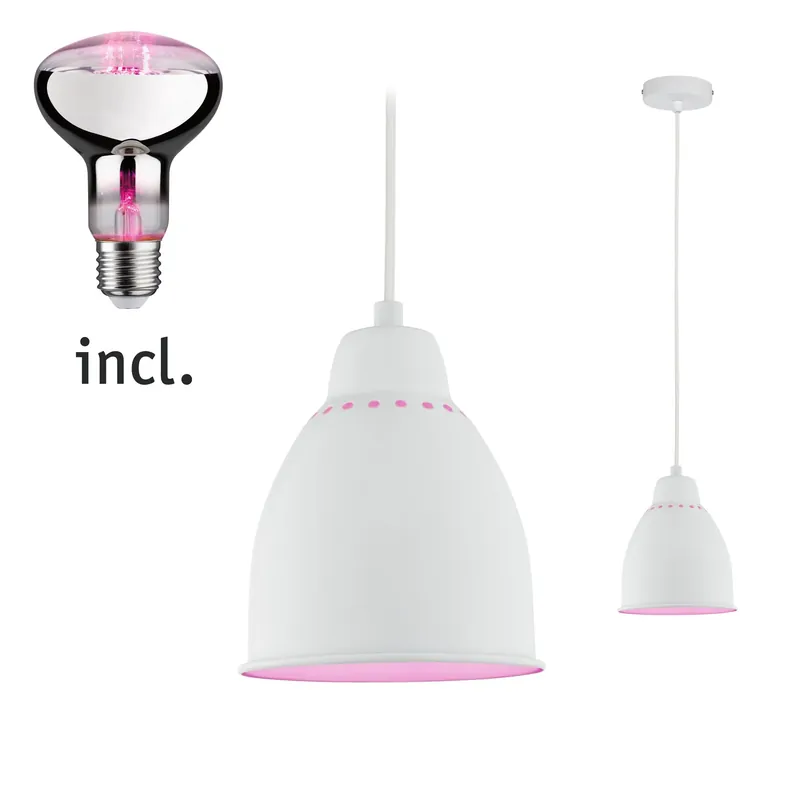 Paulmann Pendelleuchte Bundle Neordic Hilla 1x 6,5 Watt E27 Top-Preis