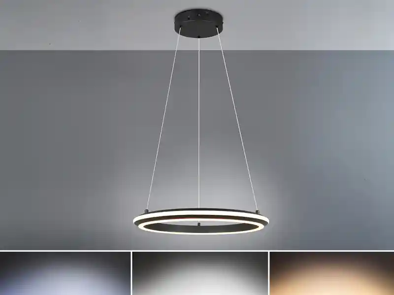 Trio Leuchten LED Pendelleuchte AMADOR Metall Schwarz, dimmbar & Lichtfarbe einstellbar Ø 45cm Beliebt