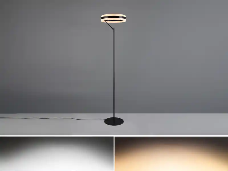 Schneller Versand Trio Leuchten LED Stehlampe DIOS dimmbar, Lichttemperatur einstellbar, Schwarz, Höhe 180cm