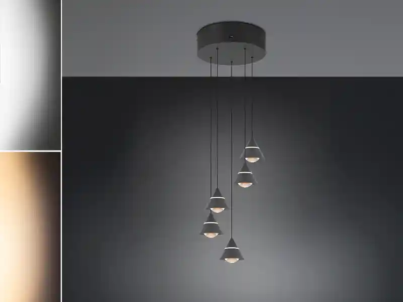 Trio Leuchten LED Cluster Pendelleuchte ROMEO höhenverstellbar, 5-flammig Schwarz Ø 28cm Online Kaufen