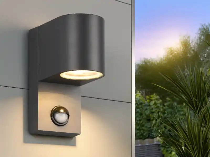 Sichere Zahlung Trio Leuchten Runde Außenwandleuchte ROYA Downlight mit Bewegungsmelder, Anthrazit, Höhe 15cm