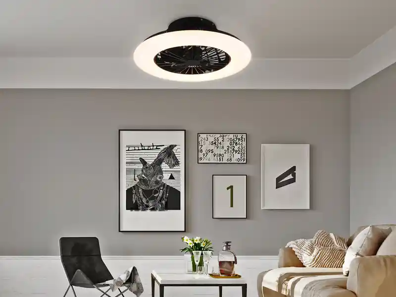 RL LIVE YOUR LIGHT Deckenleuchte mit Ventilator STRALSUND Fernbedienung Sternenhimmel, Ø 50cm Wochenendangebot