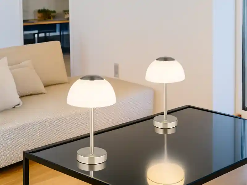 meineWunschleuchte 2er Set Dimmbare Akku Tischleuchten per USB aufladbar, Silber, Höhe 31cm Zertifiziert