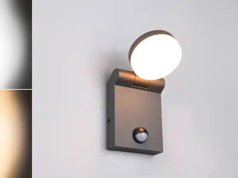 Trio Leuchten LED Außenwandleuchte ADOUR Höhe 19cm, Schwarz mit Bewegungsmelder Jetzt Bestellen