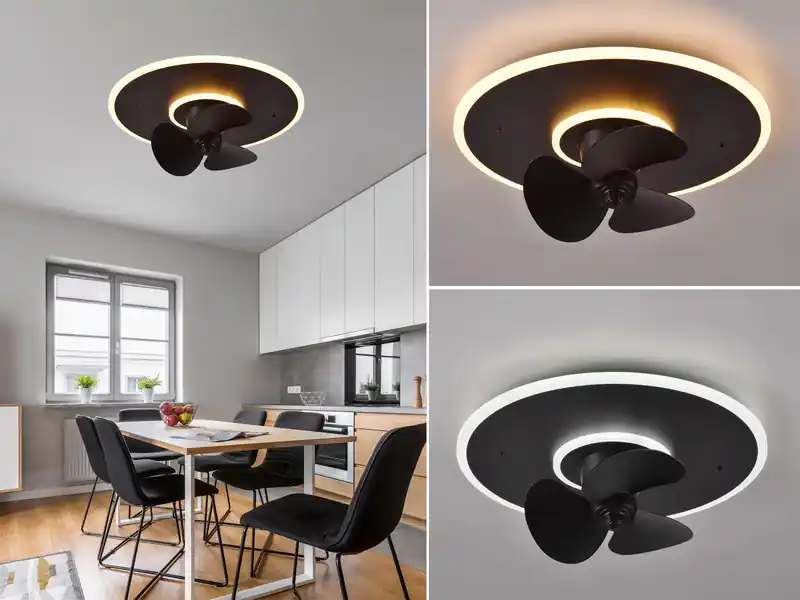 RL LIVE YOUR LIGHT LED Deckenleuchte mit Ventilator NYBRO Fernbedienung Lichtfarbe Wechsel Ø50cm Gratis Versand