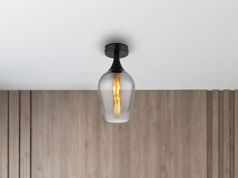 meineWunschleuchte Kleine LED Deckenleuchte mit Rauchglas Lampenschirm, Ø 15cm Versand Am Gleichen Tag