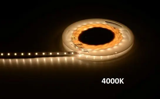 Günstig Extro LED Strip weiss, 60LED