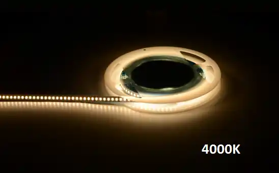 Extro LED Strip weiss, 168LED, 20,2W Highlight