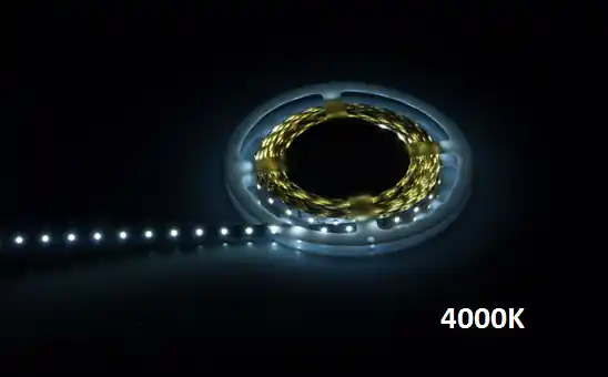 LupaReel LED Strip weiss, 60LED, 4,8W Abverkauf