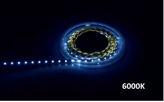 Sonderangebot LupaReel LED Strip weiss, 60LED, 4,8W