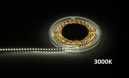 LupaReel LED Strip weiss, 120LED, 9,6W Meistverkauft