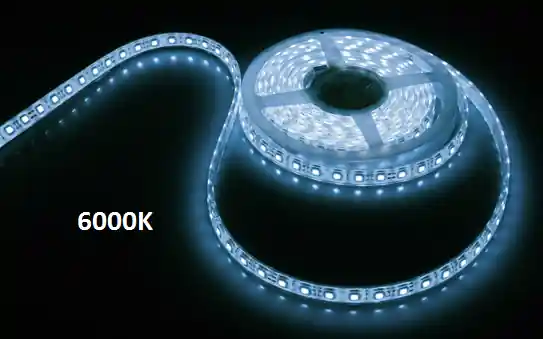 LupaQua LED Strip weiss, 60LED, 14,4W Meistverkauft