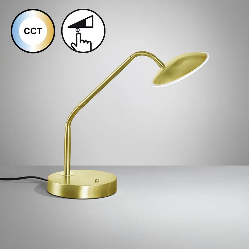 Top-Preis Tischleuchte, Tallri | messingfarben matt
