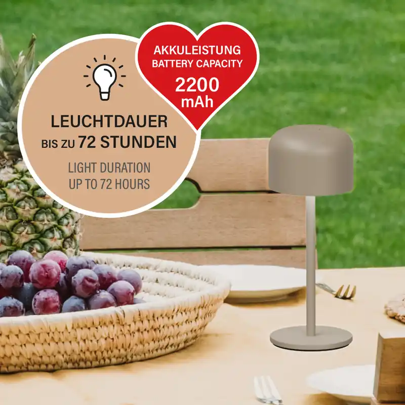 Tischleuchte, Außenleuchte Finley | grau-braun Mega-Angebot