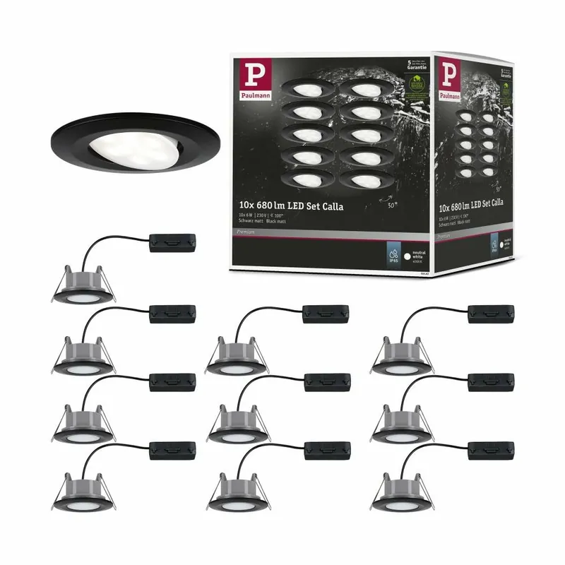 Heißes Angebot Paulmann HomeSpa LED Einbauleuchte Calla Basisset schwenkbar IP65 rund 90mm 30° 10x6W 10x500lm 230V 4000K Schwarz matt