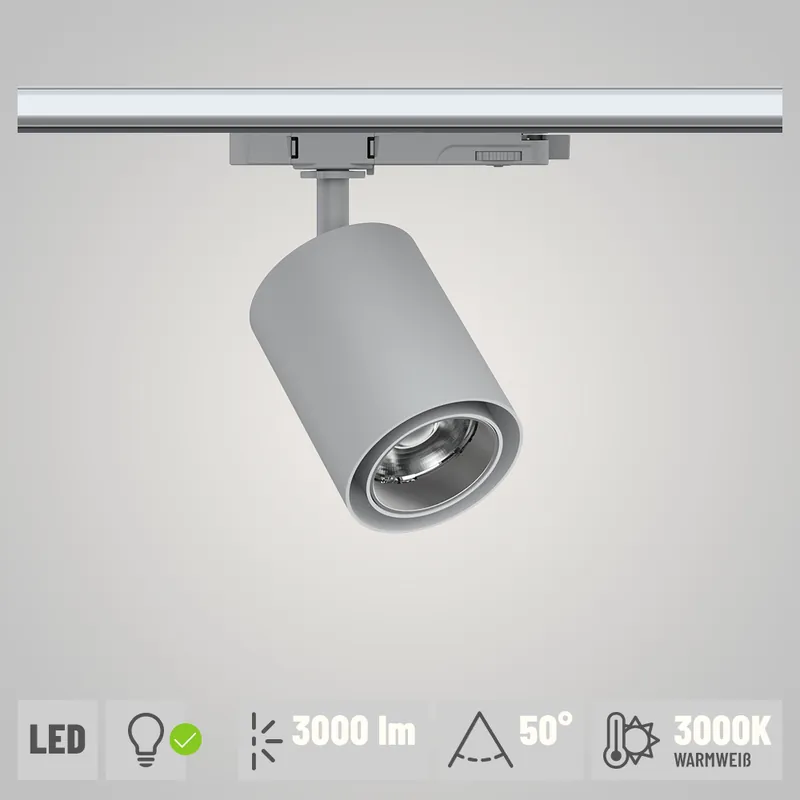 Direkt Vom Hersteller Paulmann ProRail3 LED Schienenspot Kratos silber 50° 3000lm 25W 3000K (LED fest verbaut)
