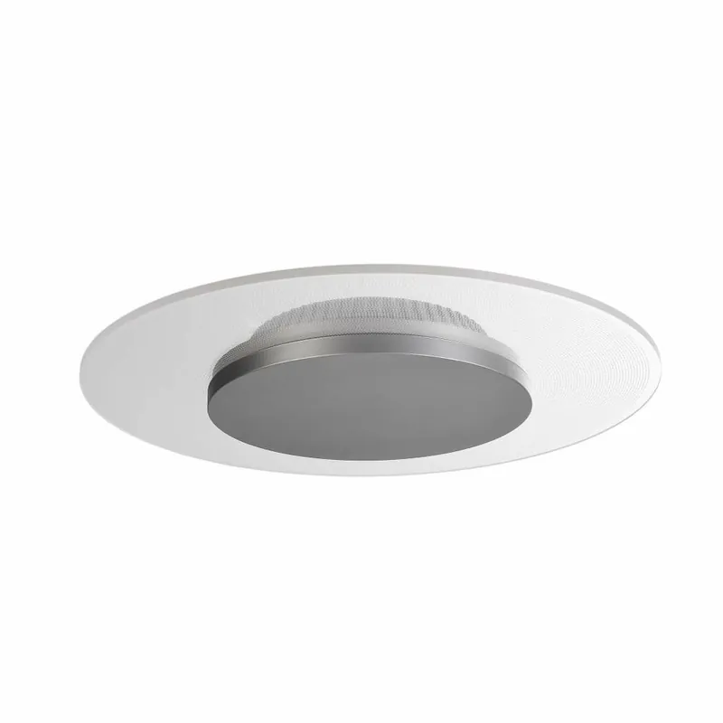Deko-Light Deckenaufbauleuchte, Set, Zaniah 290 mm, 12 W, DIM, 3000 K, Cover Silber, 220-240 V/AC, 50 / 60 Hz Zertifiziert