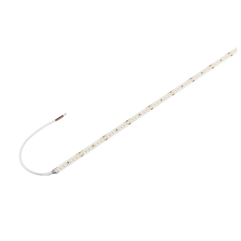 Top-Preis SLV GRAZIA, LED Strip Value, 2700K, 72W, L: 500 cm
